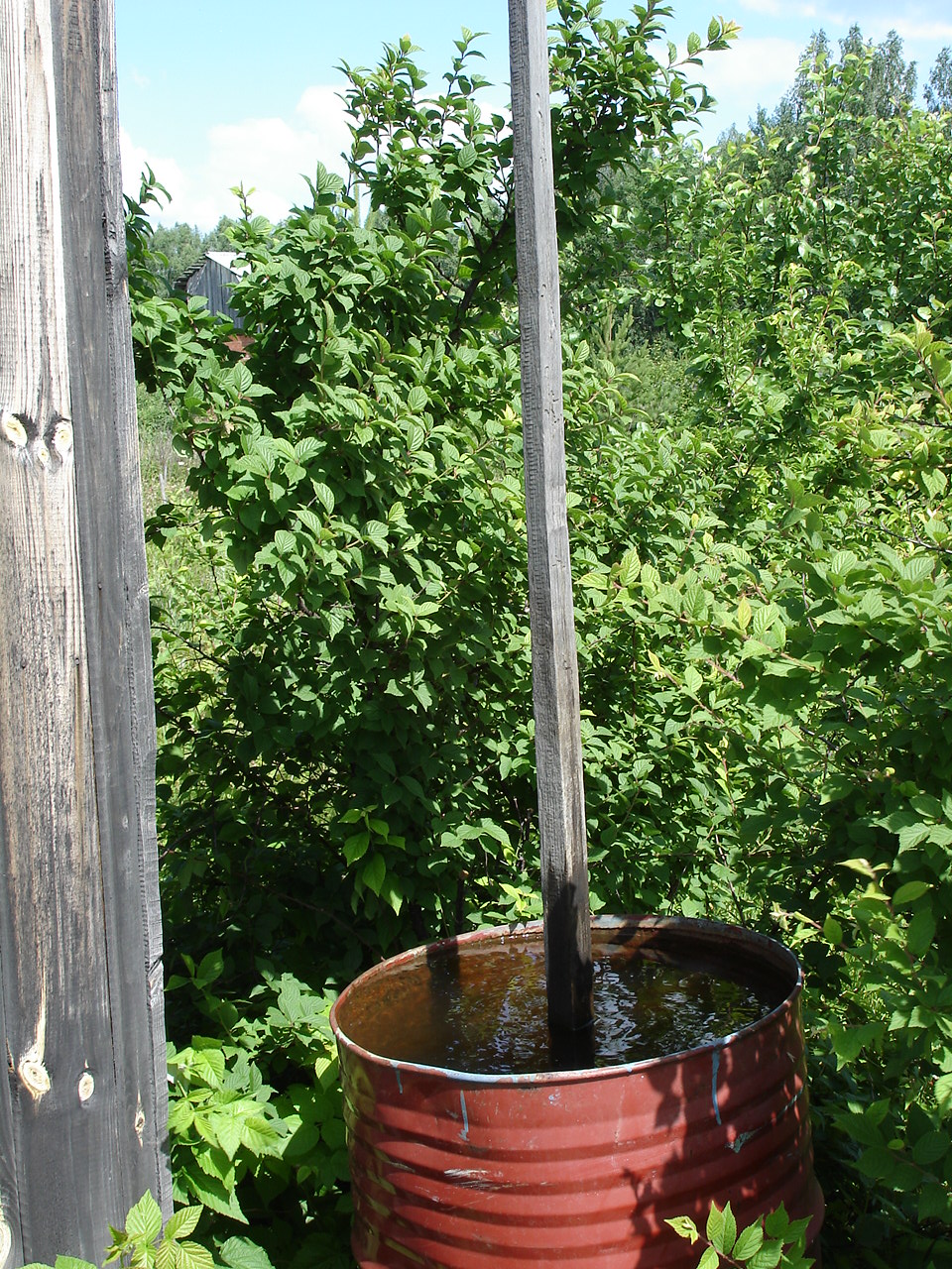 Barrel for rainwater